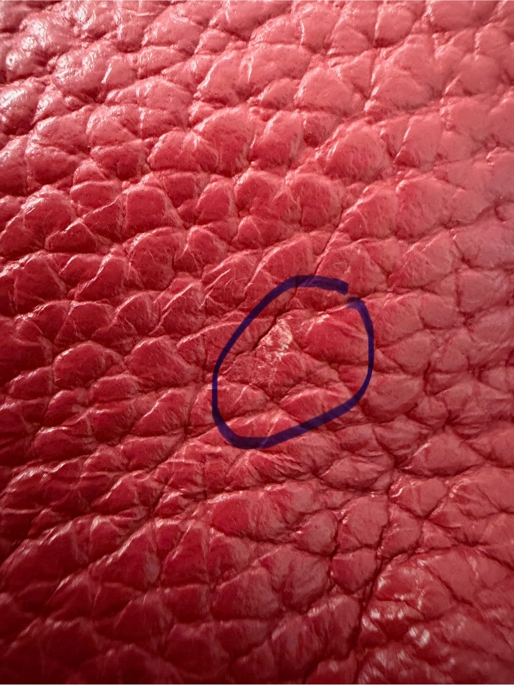 Blue Label Crestbridge/Burberry Red Bag - Picture 16 of 16